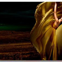 GOLDEN DRESS AT DARK EVENING..