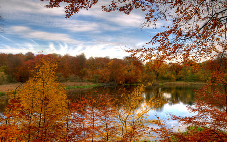 Autumn in the forest - nature, autumn, amazing, lake, landscape, forest, beautiful, colourful