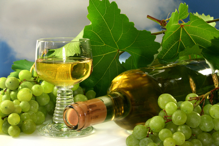 still life - grape, beautiful, photography, food, photo, cool, still life, drink, harmony, grapes, wine, fruit, nice, glass, cup