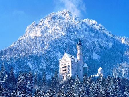 Winter Castle - trees, white castle, roof, towers, snow, blue sky, mountain