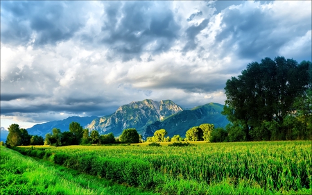 In Between - sky, landscape, field, storm, nature, amazing, forest, beautiful, clouds, green, grass