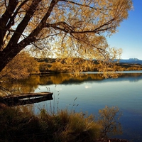 golden autumn