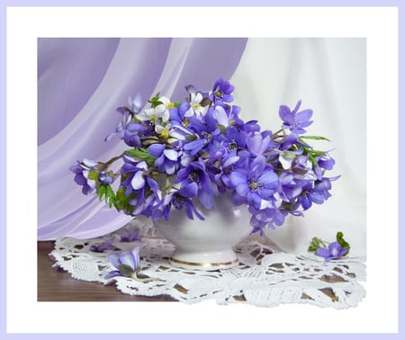 still life - nice, photography, bouquet, gentle, still life, vase, white, cool, blue, beautiful, lace, flowers, photo, flower, harmony