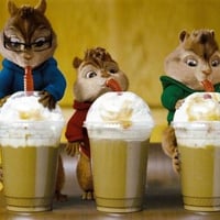 Chipmunks on coffee