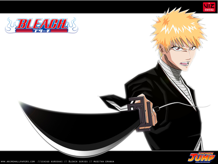 bleach - ichigo, bleach