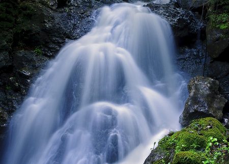 Near Waterfall - forest, water, nice, beautiful, waterfall, photography, nature, green