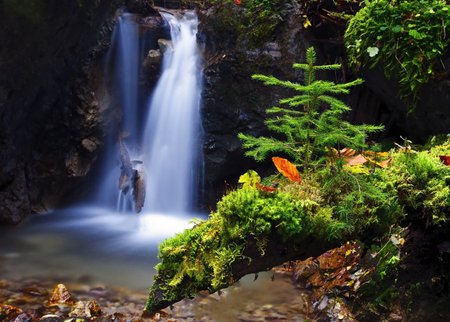 Water Magic - nice, photography, water, lovely, nature, amazing, forest, beautiful, green