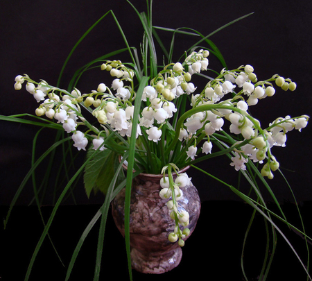 Lily of the Valley - freshness, background, smell, black, still life, spring, vase, nature, white, art photo, dark, beautiful, lily of the valley, unmistakable, scent, flowers