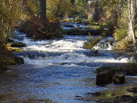 River in Washington - river, washington, forest, water