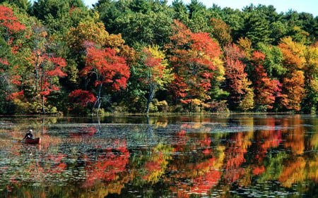 nature art - nature, lake, fall, sky, trees, water