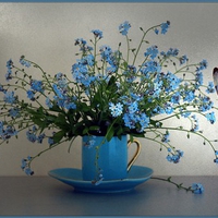 still life