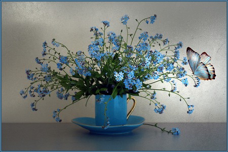 still life - elegantly, blue, beautiful, photography, photo, cool, flower, still life, bouquet, harmony, flowers, butterfly, nice, cup