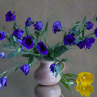 still life