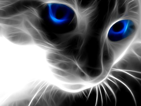 Sweetest Witchy - fractal, cat, blue, eyes, blue eyes