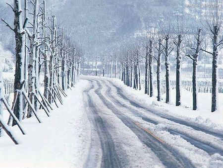 winter road - white, covered, snow, winter, road