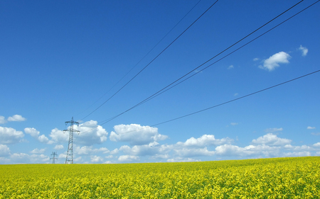 Yellow field - nature, sky, amazing, landscape, yellow, clouds, beautiful, field