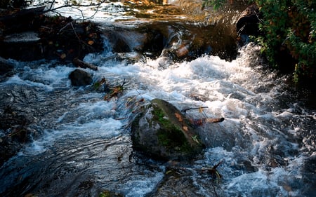 Stream - nature, amazing, landscape, beautiful, stream, water