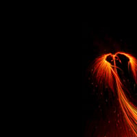 ...phoenix in the dark...