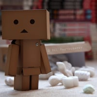 Danbo