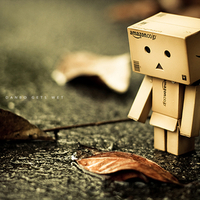 Autumn Leaves Danbo