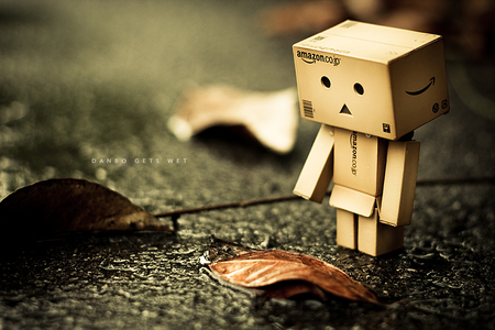 Autumn Leaves Danbo - autumn, box, danbo, leves, robot