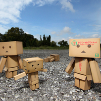 Danbo Family