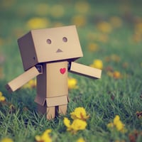 Danbo Looking For Love