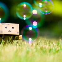 Danbo Bubbles