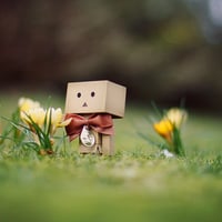 Just Danbo