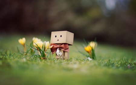 Just Danbo - cute, box, danbo, robot