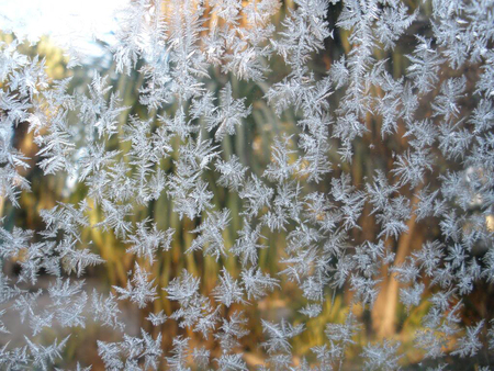 Window Frosting - ice, window, glass, frost, winter, frosted window