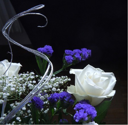 White With Blue - flowers, roses, white, blue, rose, flower