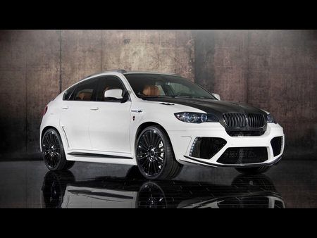 Mansory BMW X6 M - mansory, m, 2011, bmw, x6