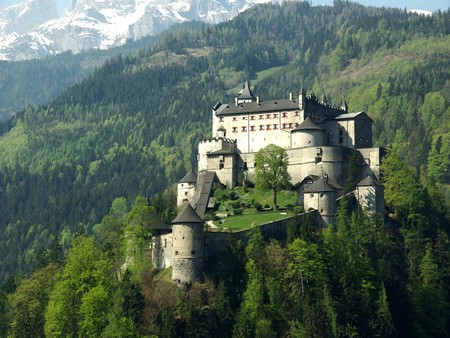 Castle in the mountains - forest, mountains, architecture, castle