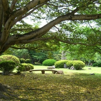 Japanese Gardens