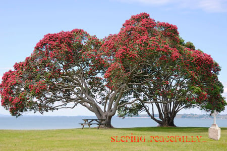 tree with flowers - flowery, grave, red, silent