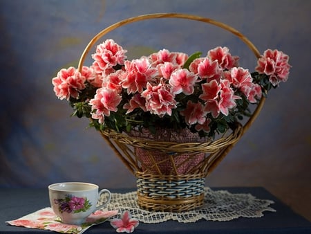 Still Life - pretty, beautiful, photography, beauty, colors, lovely, petals, still life, flowers, basket, colorful, nature, cup