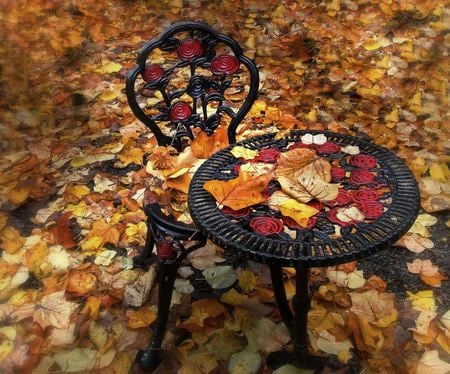 Autumn - beauty, carpet, autumn, peaceful, photography, chairs, carpet of leaves, autumn leaves, fall, pretty, table, romance, lovely, autumn colors, nature, chair, romantic, beautiful, leaves, splendor, colors