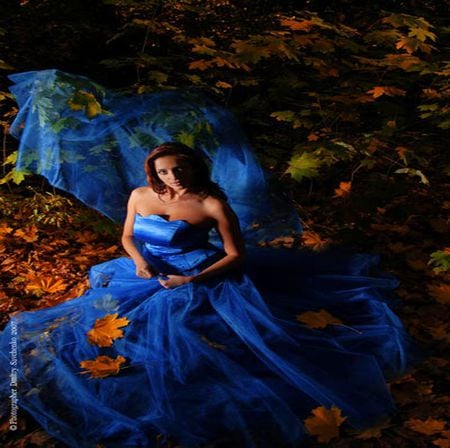 AUTUM IN BLUE - woman, veil, seat, nature, blue, lefs, seatting, autum, dress