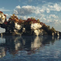 Exotic Island