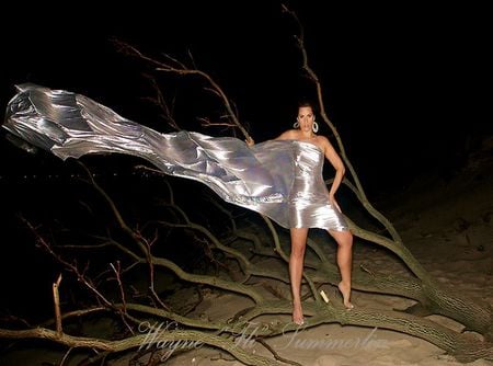 BRILLIANT SILVER DRESS.. - woman, silver, shinny, beautiful, night, brilliance, dress