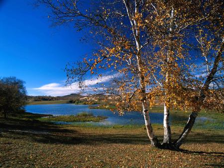 blue sky - sky, lake, landscape, water, nature, cloud, blue, tree, grass