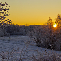 Sunrise and a deer