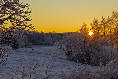 Sunrise and a deer - snow, sunrise, winter, deer