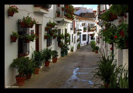 Flower Pot Alley - Italy - pots, alley, beautiful, flowers, balconys, white, red, art photo, houses