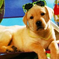 I AM ONE COOL DUDE