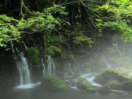 Waterfall Mist - branches, trees, water, cascade, waterfalls, rainforest, moss, rocks, spray, jungle, green