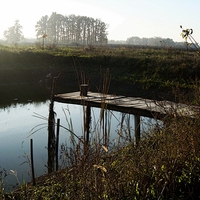 lake mole