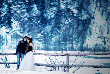 Photography in the winter - abstract, winter, people, photography, forest, fench, family, others, sky