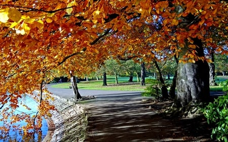 AUTUMN IN THE PARK - fall, path, trees, pond, autumn, road, grass, park